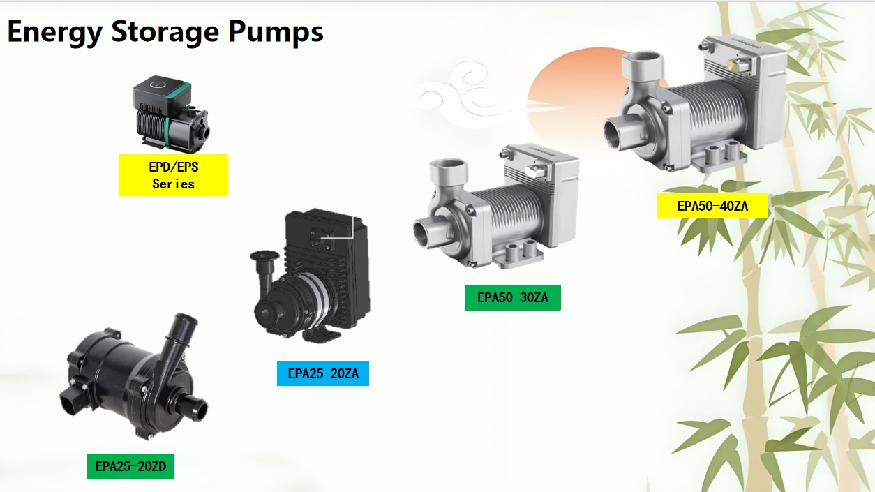 Energy Storage Pumps 
