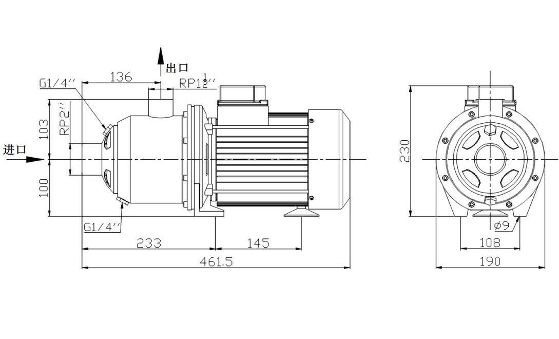 Domestic Hot Water Pump
